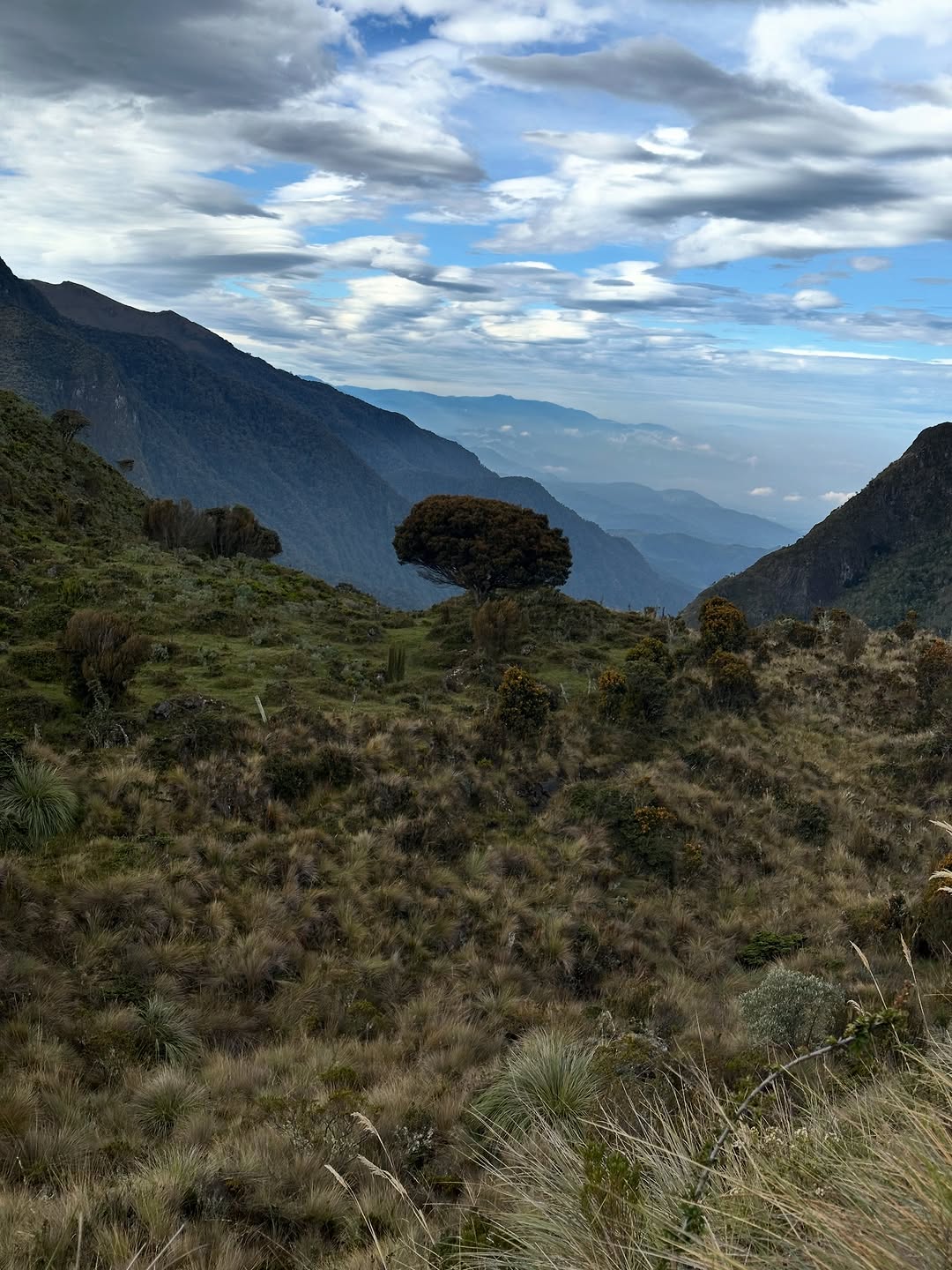 Thumbnail of www-instagram-com-p-dtvx-7bjcyi 9