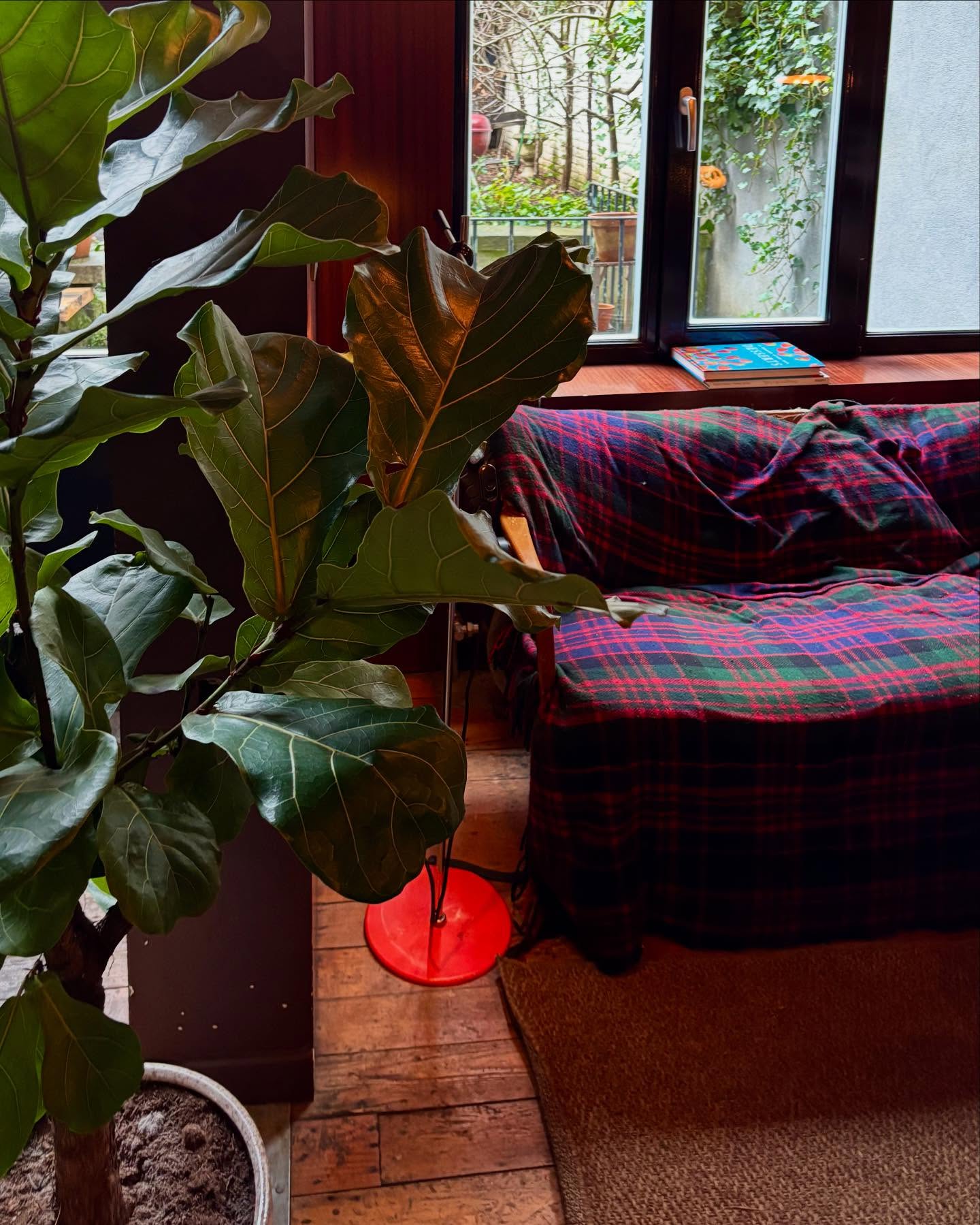 Thumbnail of p-dffsggzcmj-afe0c45f319042c8 2