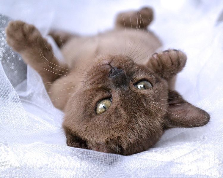 Thumbnail of h6-y-b0cd338de0804ffc 0