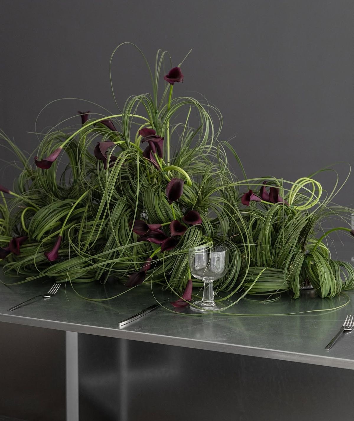 Thumbnail of laura-scalco-laurascalco-b4f9c091d34a4d93 1