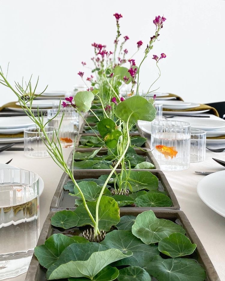 Thumbnail of laura-scalco-laurascalco-b4f9c091d34a4d93 2