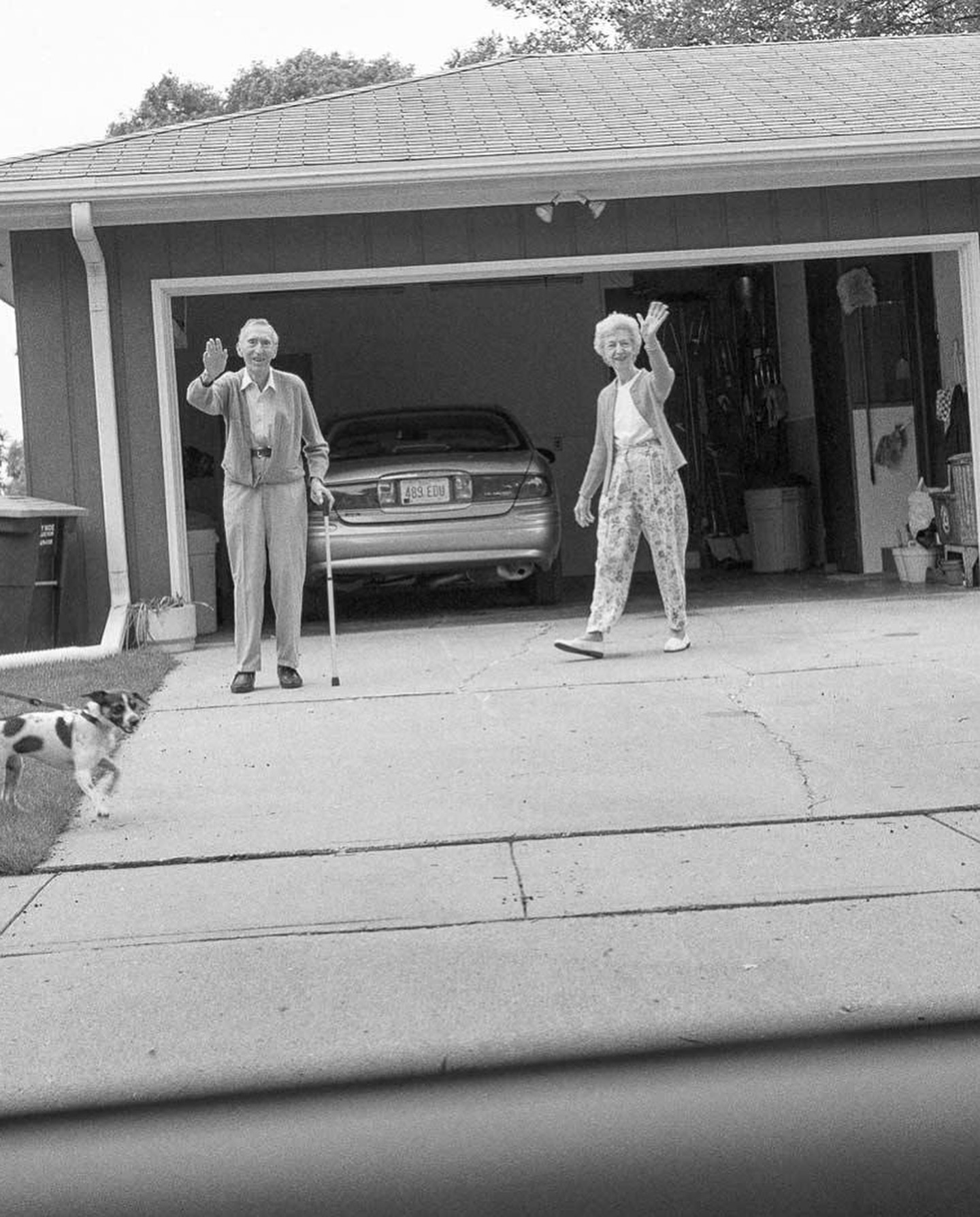 Thumbnail of p-dcnjdsdvsbx-b533c4829df646da 5