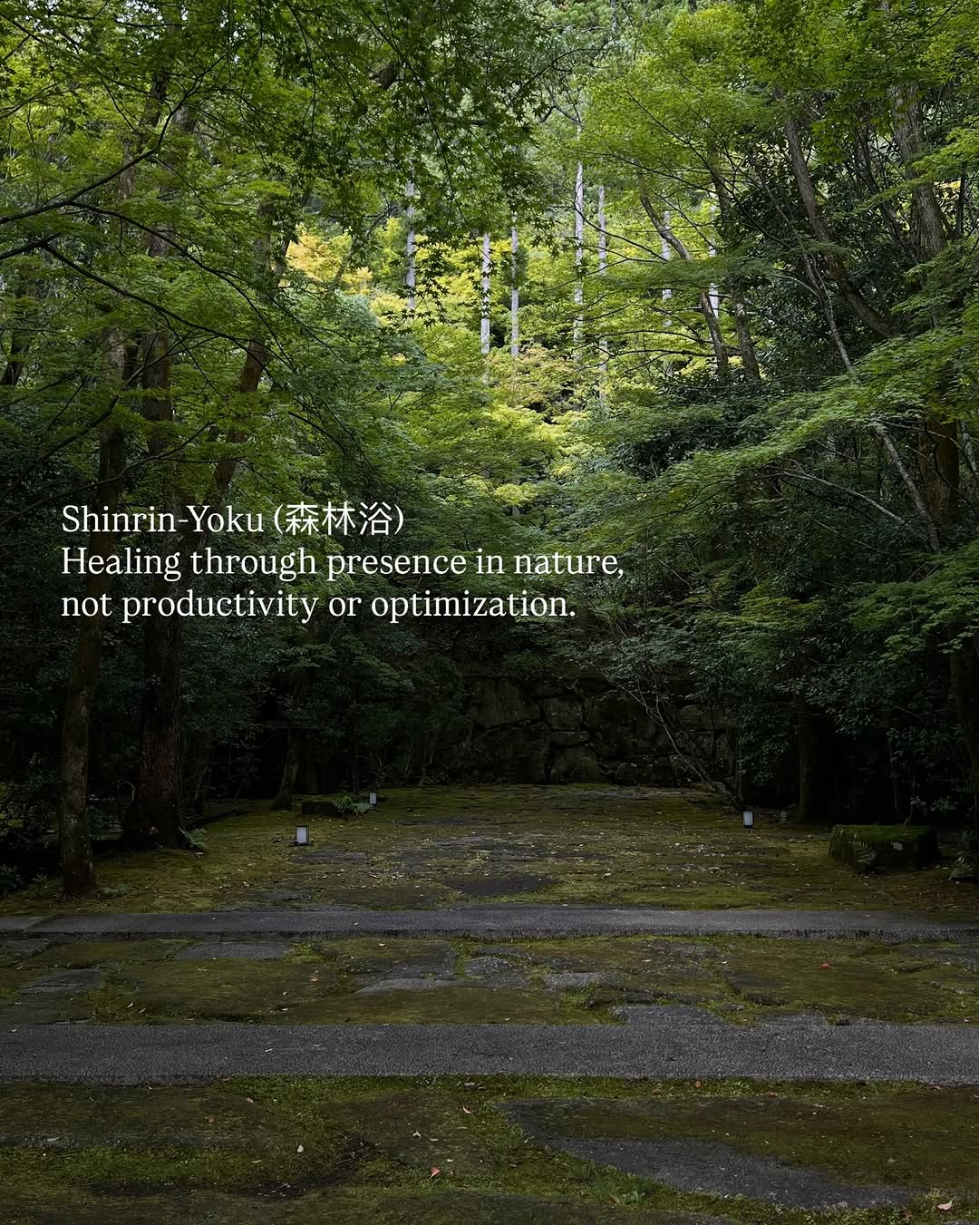 Thumbnail of instagram-b8699708151d4177 10