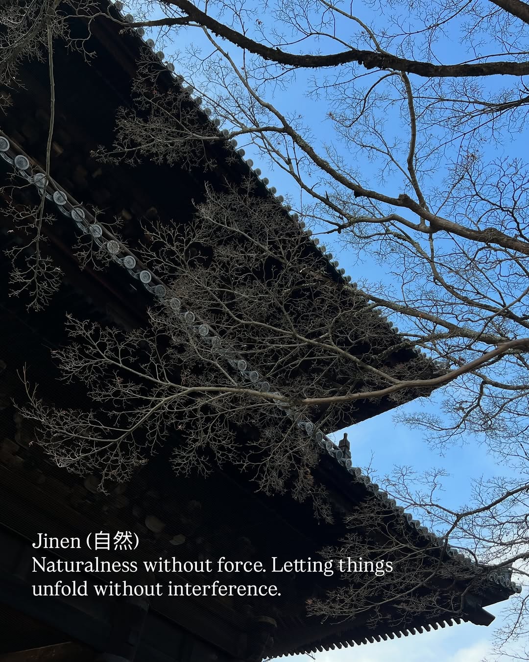 Thumbnail of instagram-b8699708151d4177 17