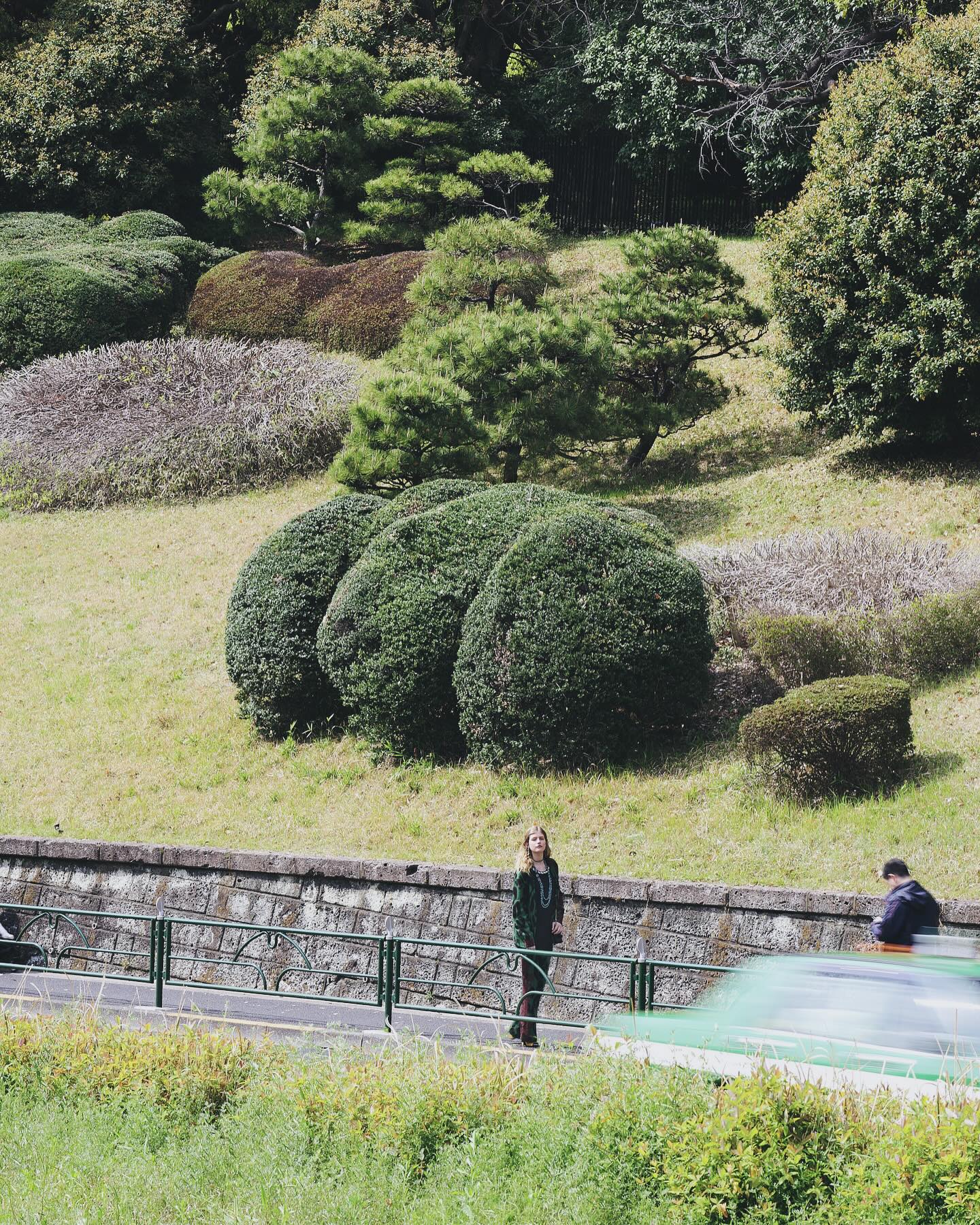 Thumbnail of p-c4ibbhtycql-b8a8420dd5844ab7 0