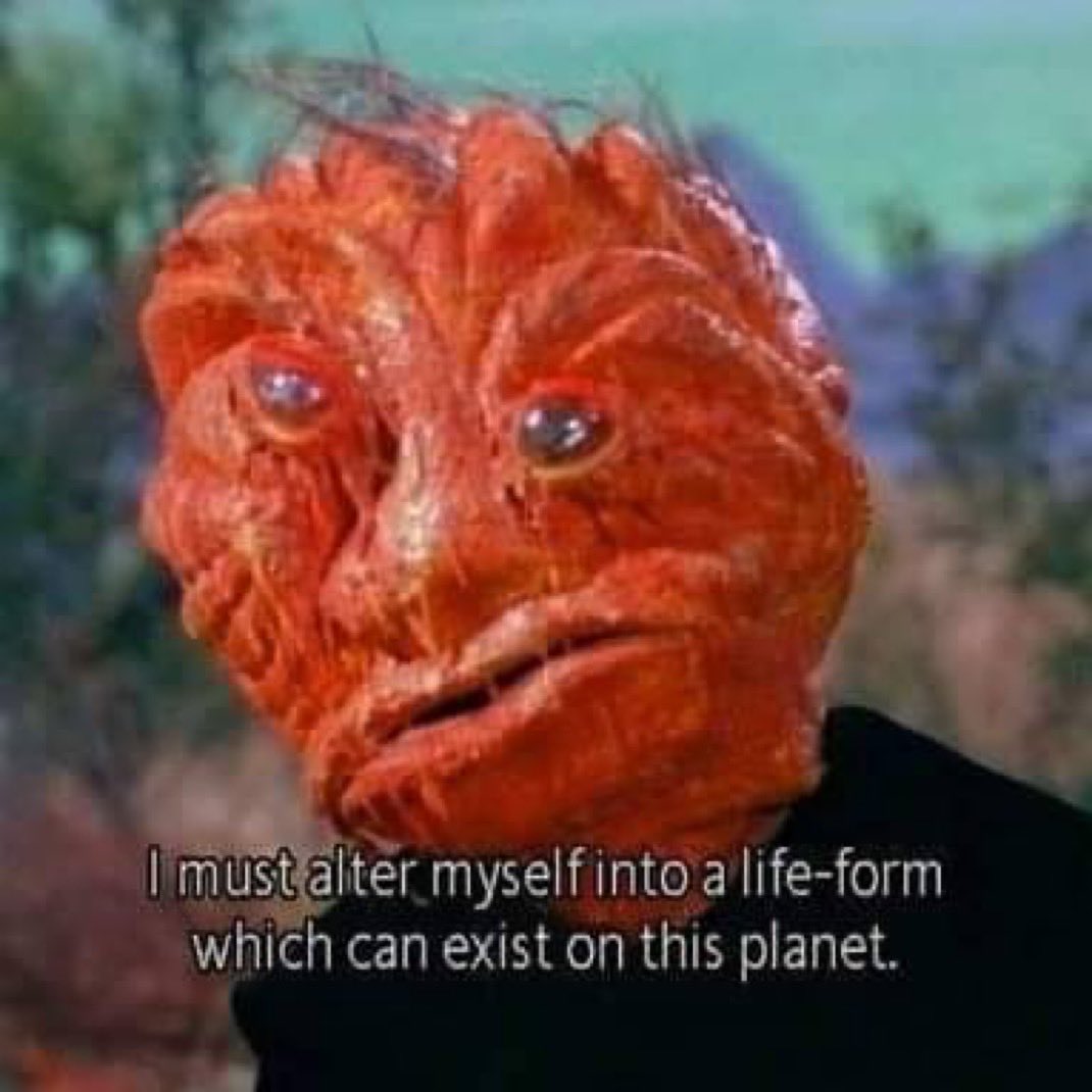 Thumbnail of www-x-com-thinkwert-status-1982913193031938175