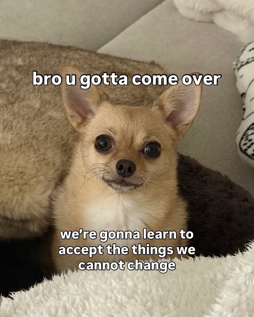 Thumbnail of www-instagram-com-p-dtg6nnkacxf-e-258ea2d3-1a45-4d6b-9cac-2038746c42e6-g-5 0