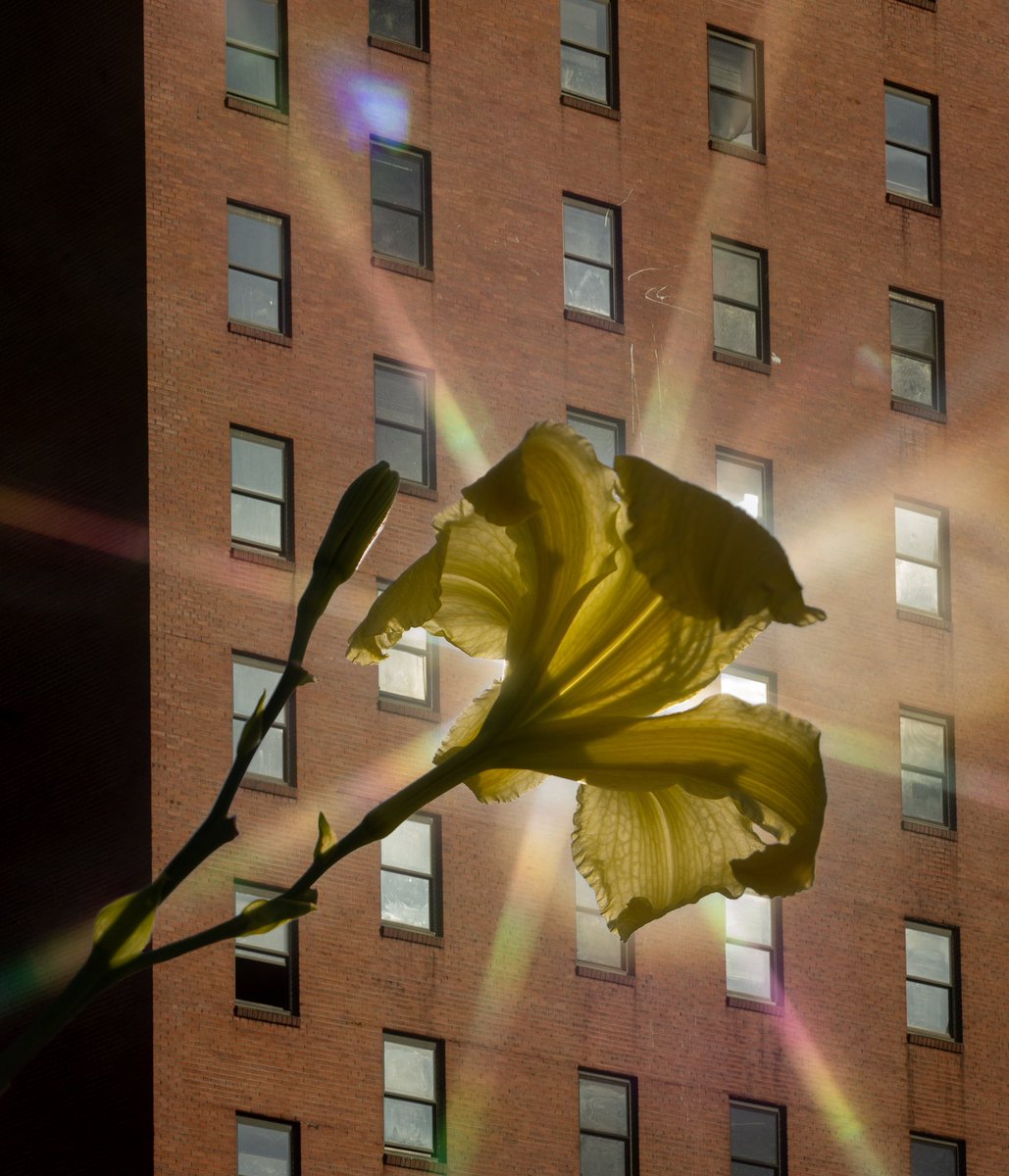 Thumbnail of www-x-com-thesoggyblanket-status-1968125084905902232-bb1d9b96e0a64e14