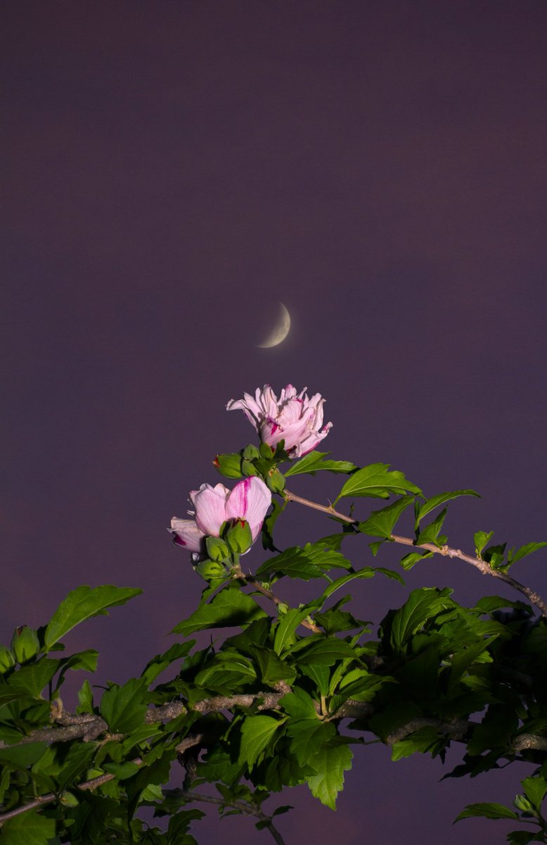 Thumbnail of www-x-com-thesoggyblanket-status-1968125084905902232-bb1d9b96e0a64e14