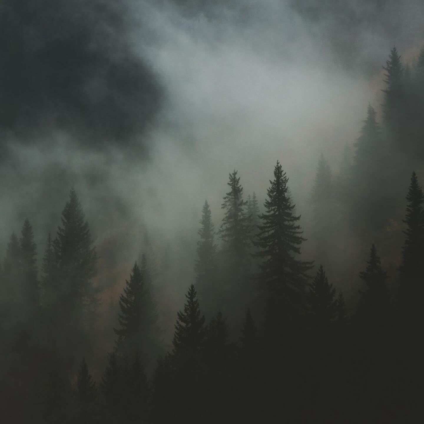 Thumbnail of p-dbxify7ouql-bb82543f023e416d 2