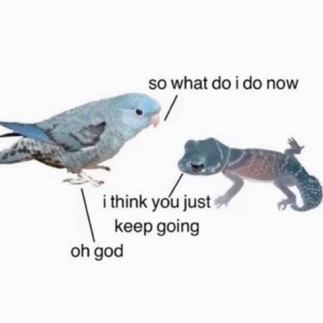 Thumbnail of p-dbxify7ouql-bb82543f023e416d 4