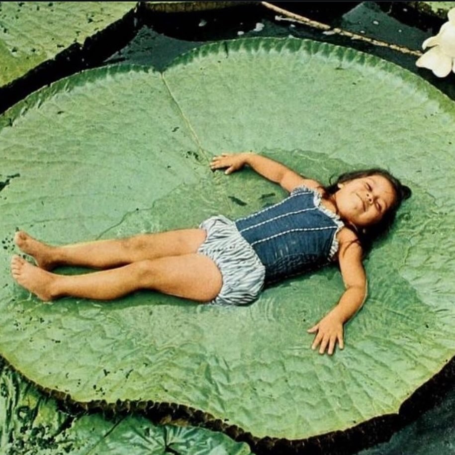 Thumbnail of p-dbxify7ouql-bb82543f023e416d 5