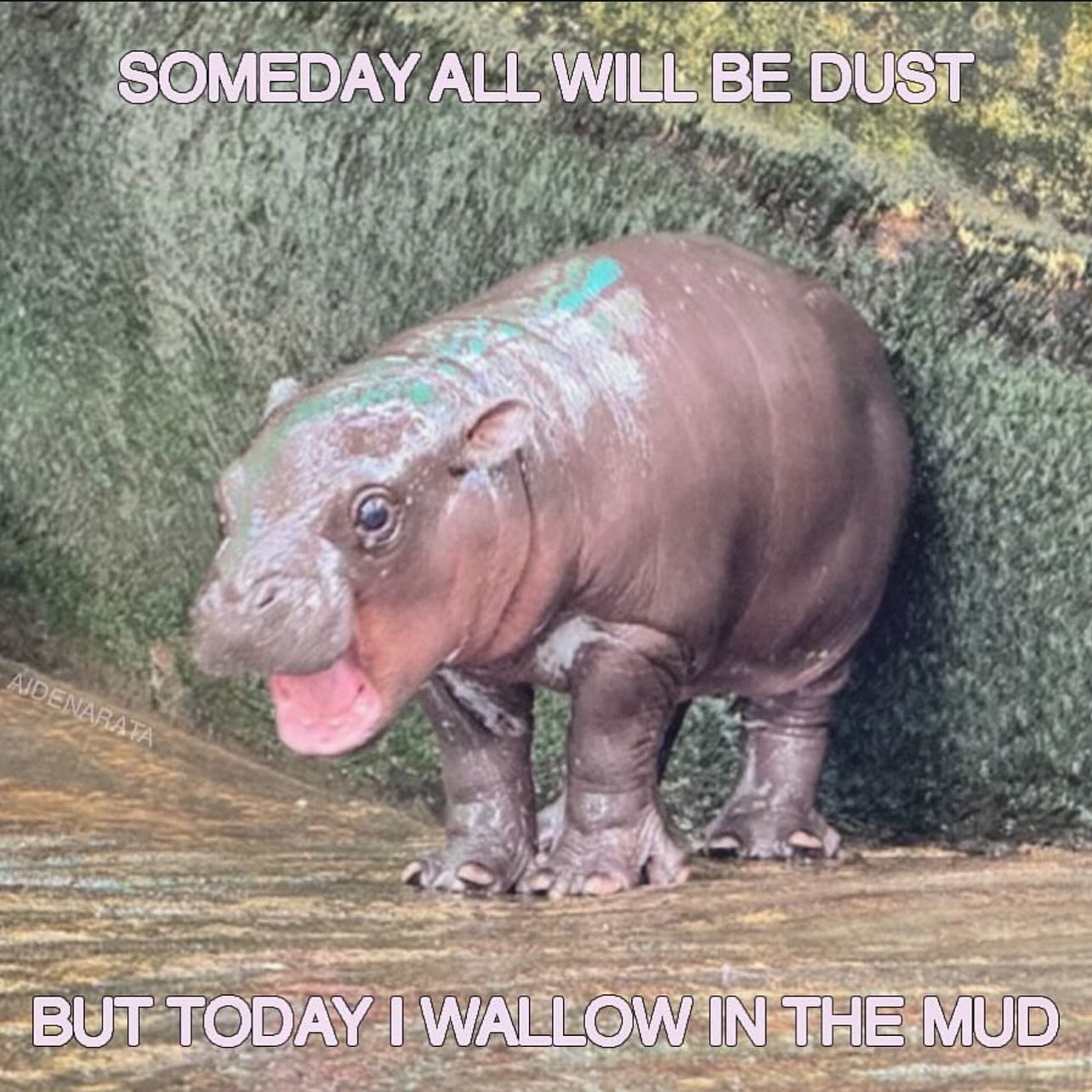 Thumbnail of p-dbxify7ouql-bb82543f023e416d 7