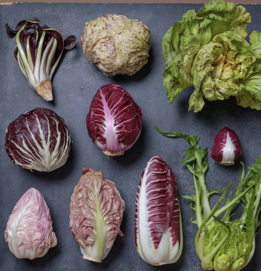 Thumbnail of sophia-roe-sophiaroenyc 3