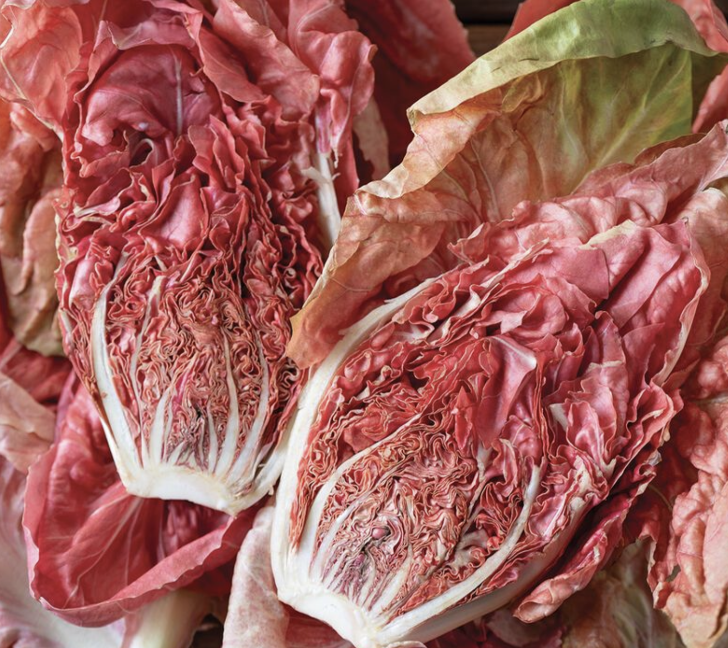 Thumbnail of sophia-roe-sophiaroenyc 5