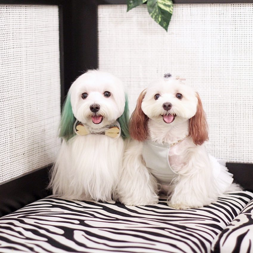 Thumbnail of bg-zao1aexw-bd413206d077412c 0