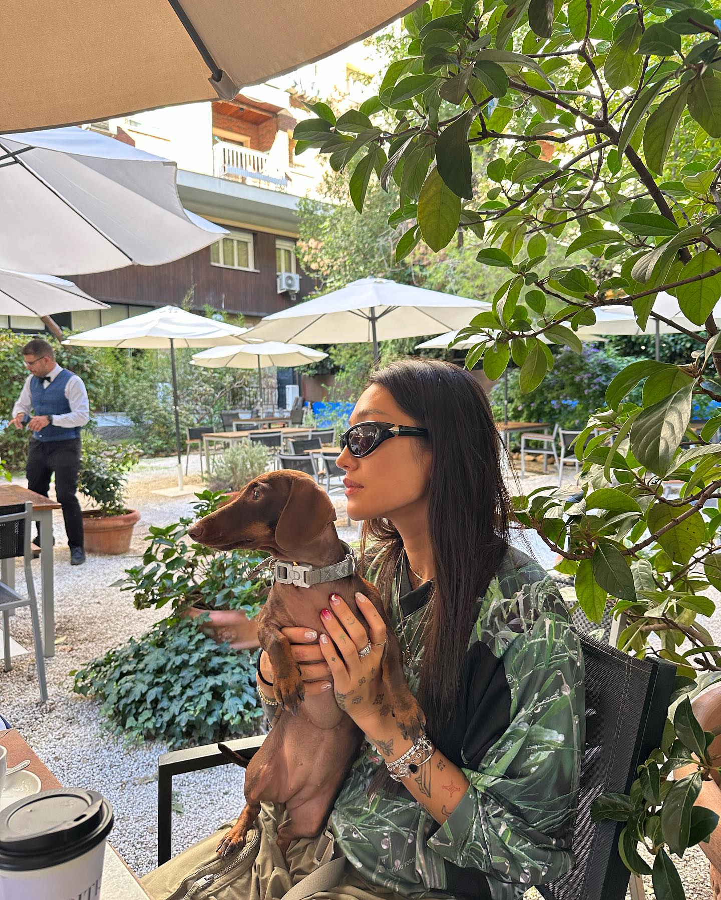 Thumbnail of p-czqb3pasgdn-bd43fd687e8c47fd 0