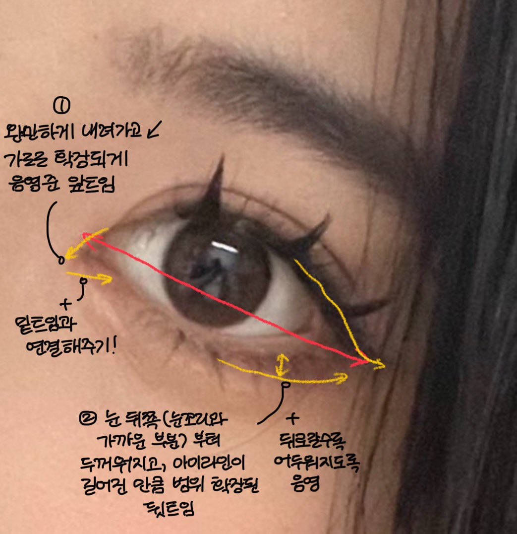 Thumbnail of www-x-com-readytoshowyou-status-1858509217369592265-bdd02a4bc3c1419c