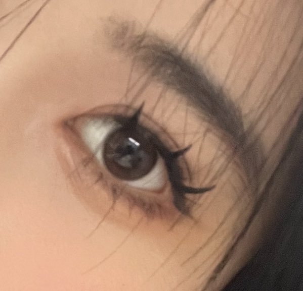 Thumbnail of www-x-com-readytoshowyou-status-1858509217369592265-bdd02a4bc3c1419c