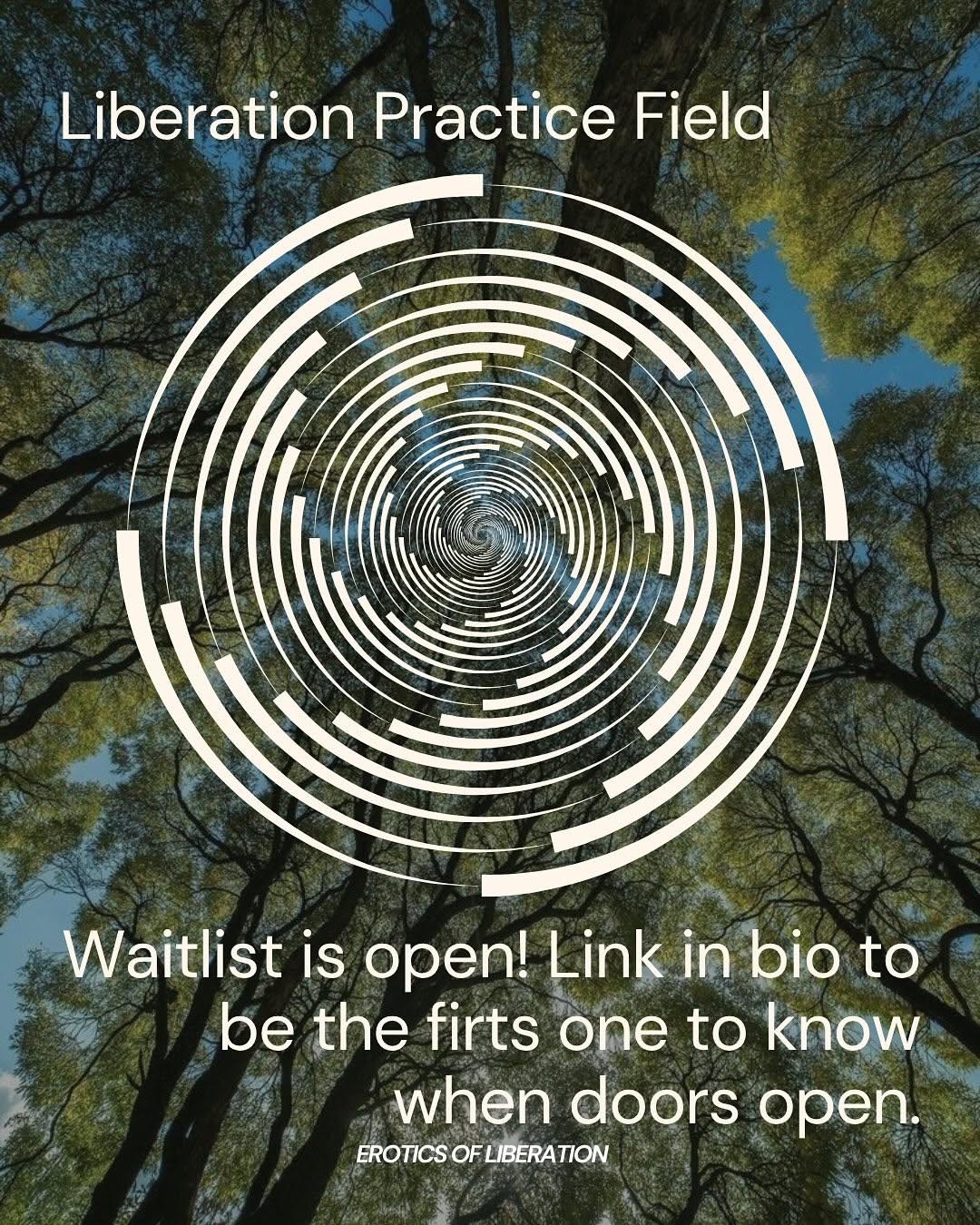 Thumbnail of www-instagram-com-p-dpo5u-7jopu 9