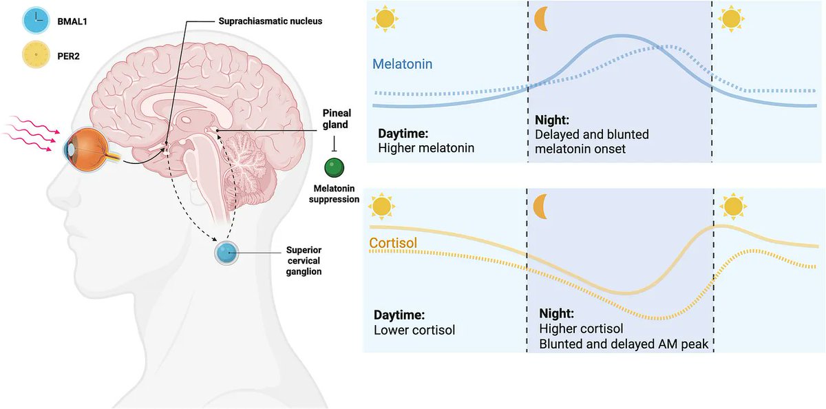 Thumbnail of www-x-com-brandonluumd-status-2000895311125078085-be6ba69d969f4c5e