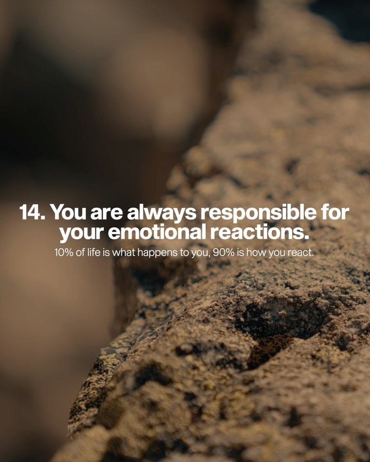 Thumbnail of p-dbpsavratpk-beb36c237a3a437f 14