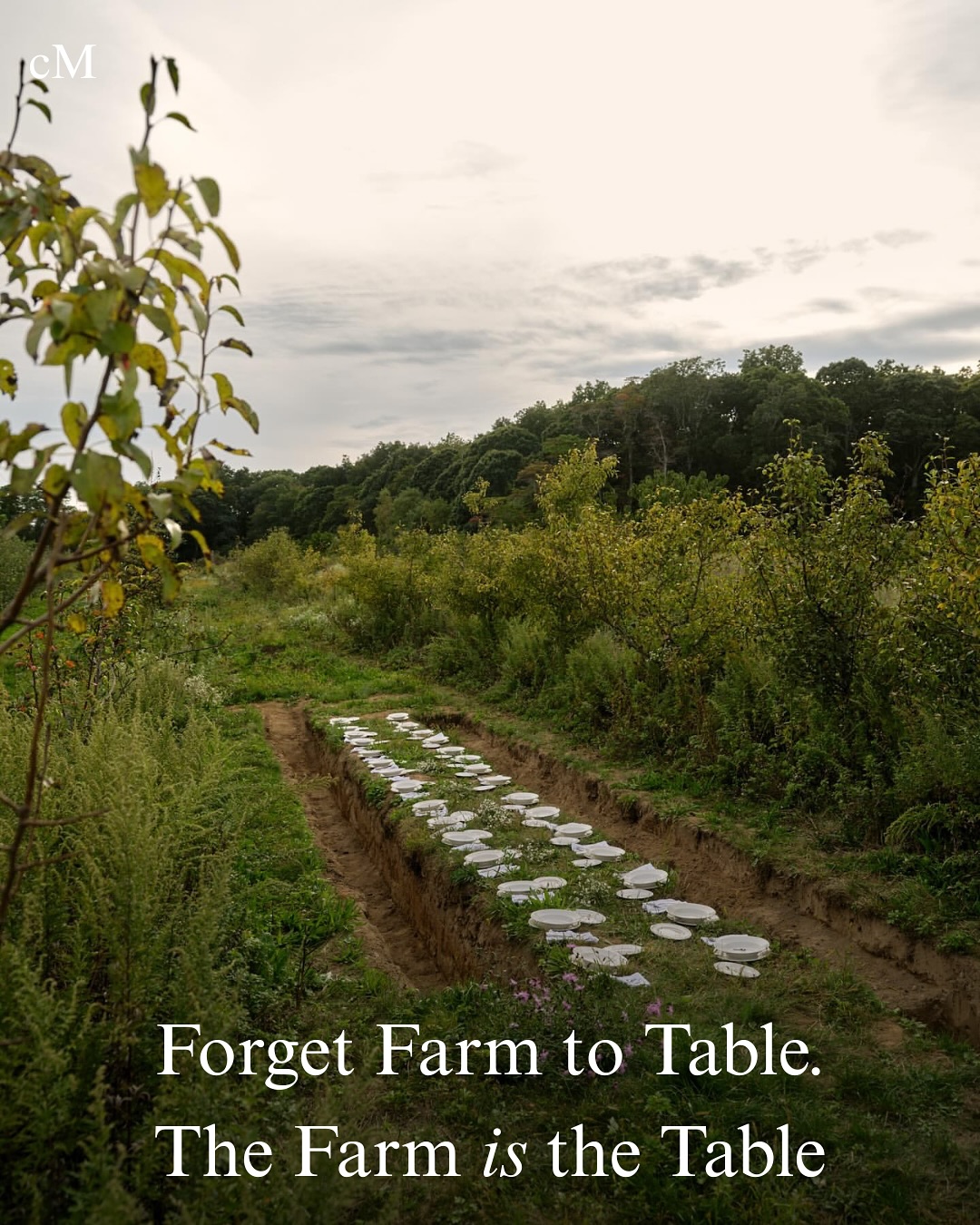 Thumbnail of p-dqw6tqqkno1-c129ba9aa9bb4b2d 0