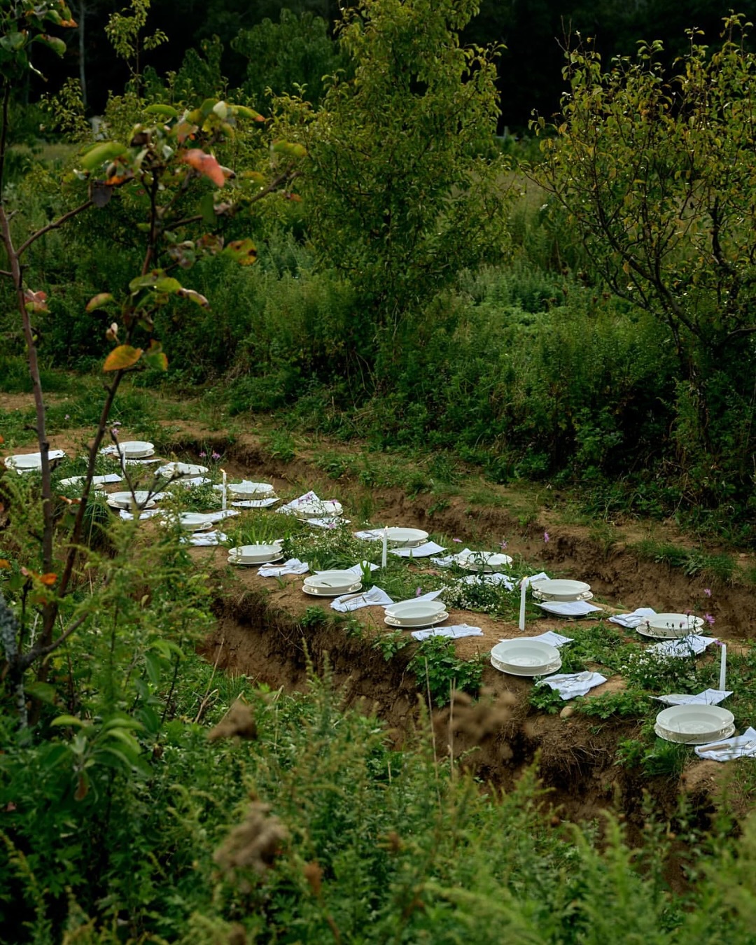 Thumbnail of p-dqw6tqqkno1-c129ba9aa9bb4b2d 1