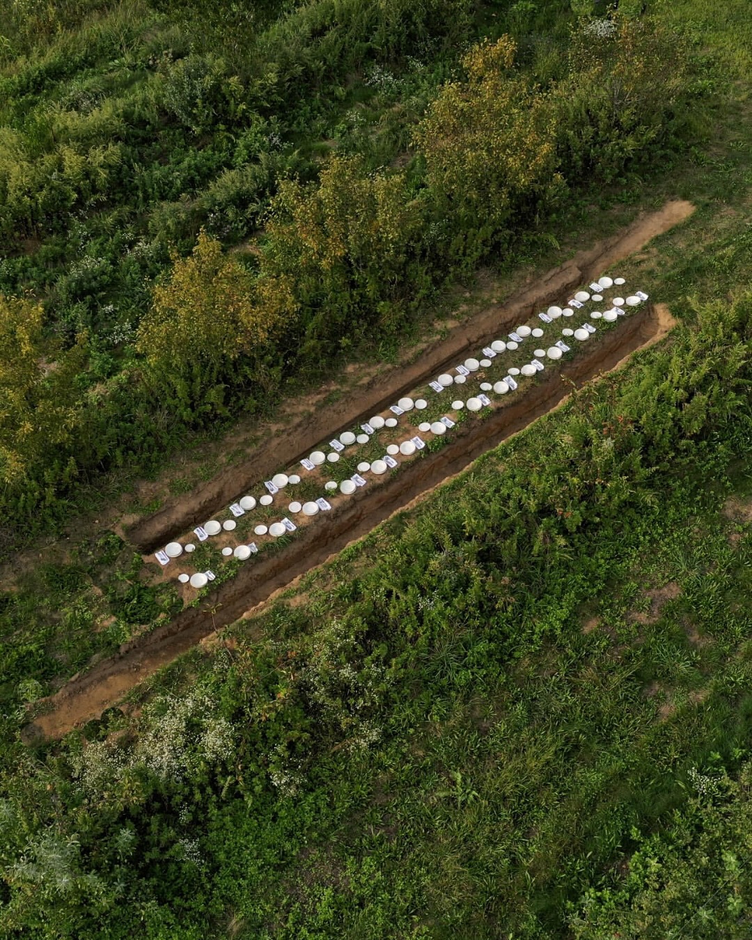 Thumbnail of p-dqw6tqqkno1-c129ba9aa9bb4b2d 6