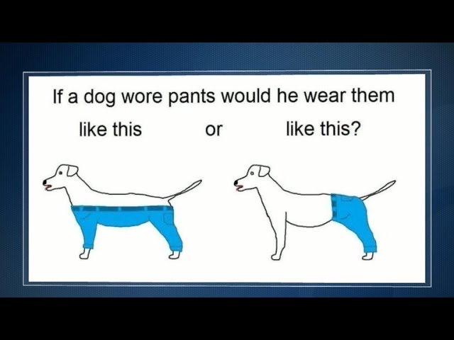 Thumbnail of www-x-com-runarorama-status-1946263690065391979-c1539fc6fc624b63