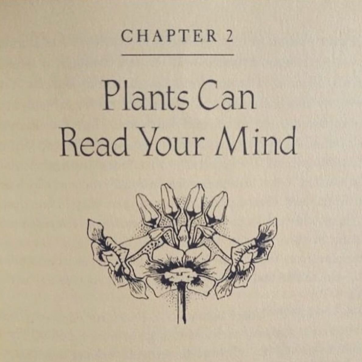 Thumbnail of p-c6v5mp5nico-c20e783e5184449b 7