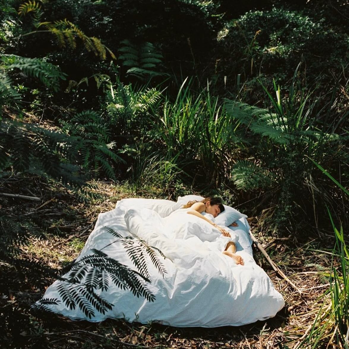 Thumbnail of p-c6v5mp5nico-c20e783e5184449b 8