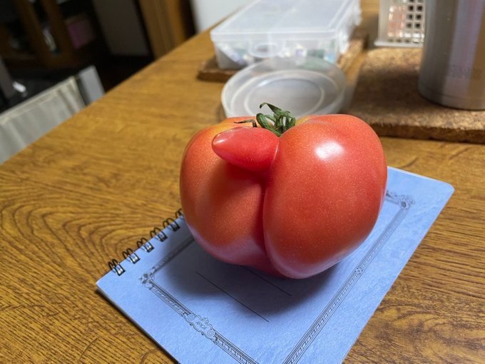 Thumbnail of www-x-com-nocontexterrors-status-1993754101625328123-c26e4eab529146b1