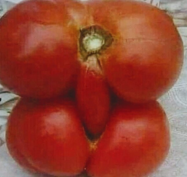 Thumbnail of www-x-com-nocontexterrors-status-1993754101625328123-c26e4eab529146b1