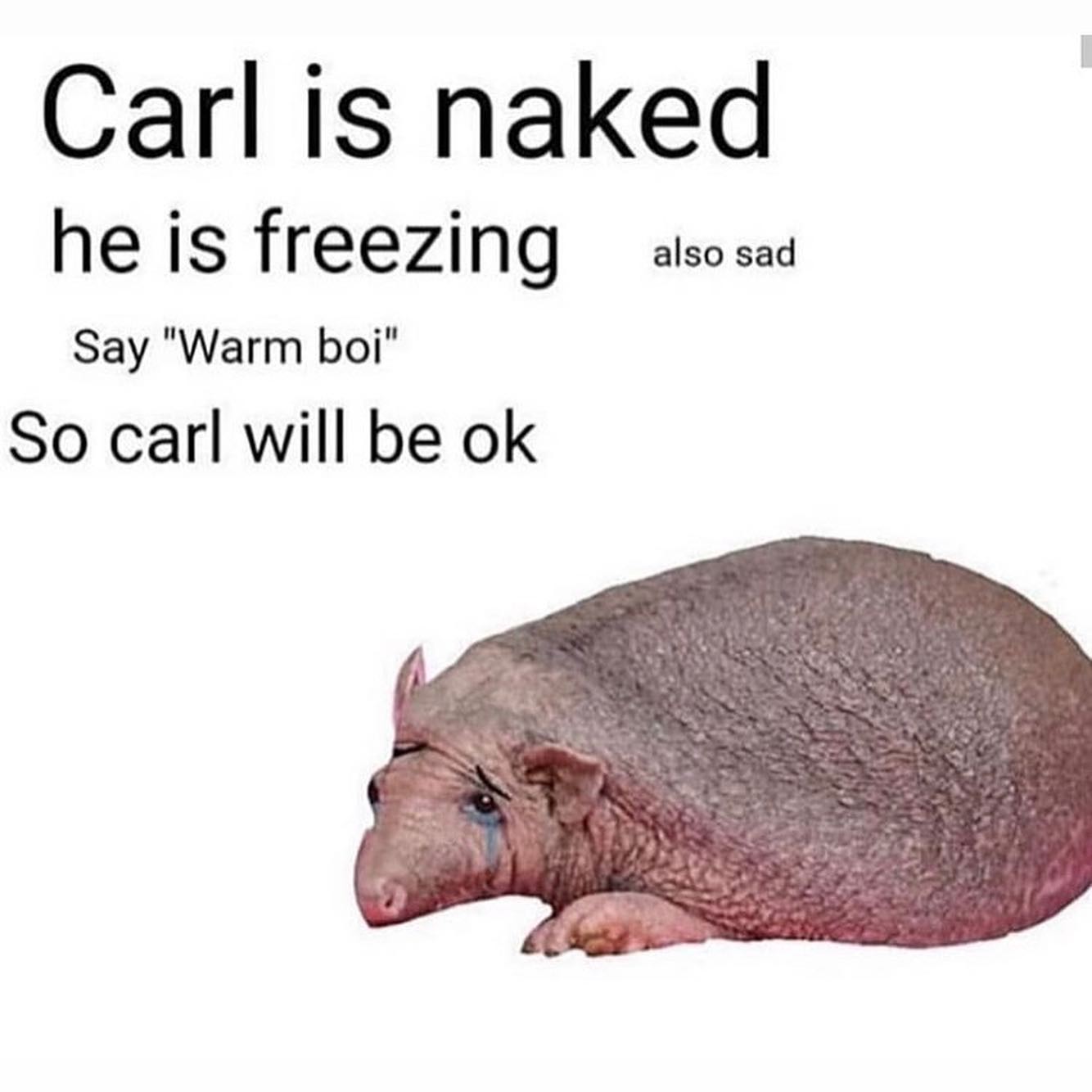 Thumbnail of p-b6tgd7kfavg-c2b17eddb2844416 8