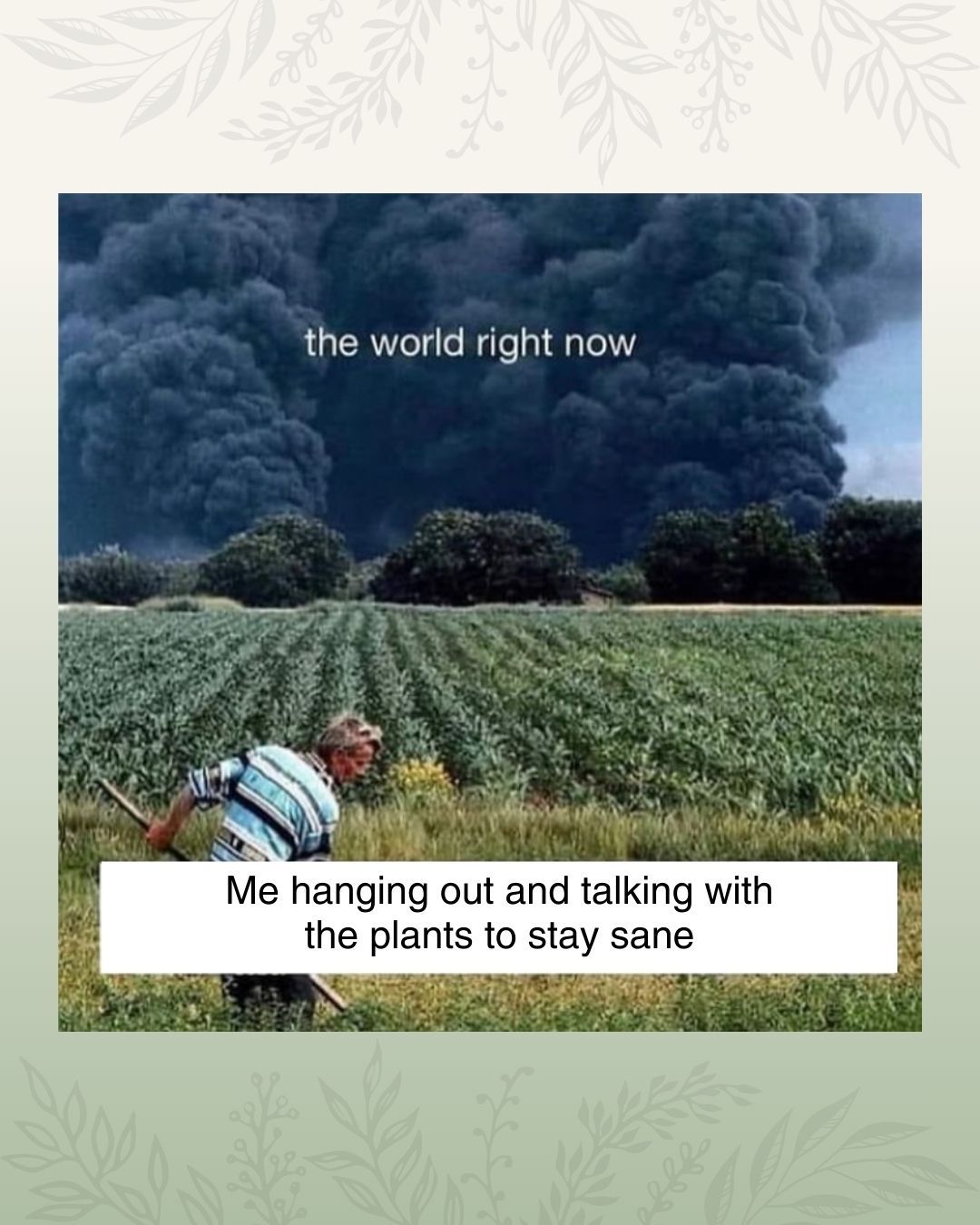 Thumbnail of p-c6tcdrir0gu-c30b19bdc65b47bc 0