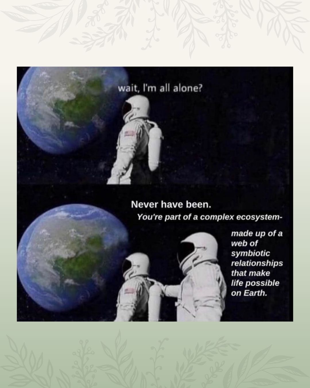 Thumbnail of p-c6tcdrir0gu-c30b19bdc65b47bc 2