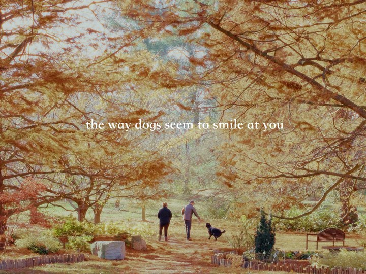 Thumbnail of p-c6xchuasv9y-c36d83b465924aee 3