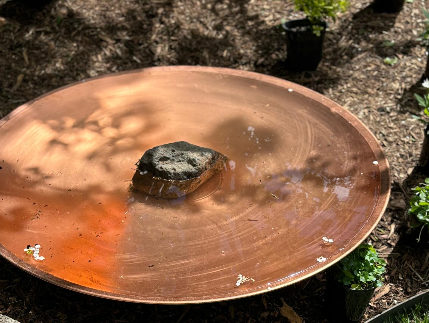 Thumbnail of p-da5biesslf7-c3fdcfbfc4a74519 2