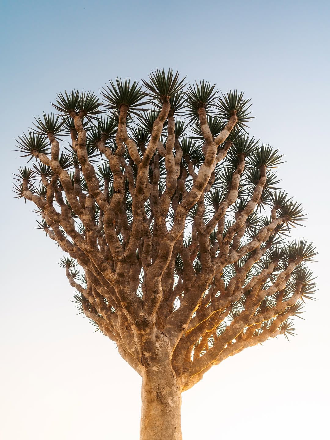 Thumbnail of www-instagram-com-p-drr9y-idzwg 1