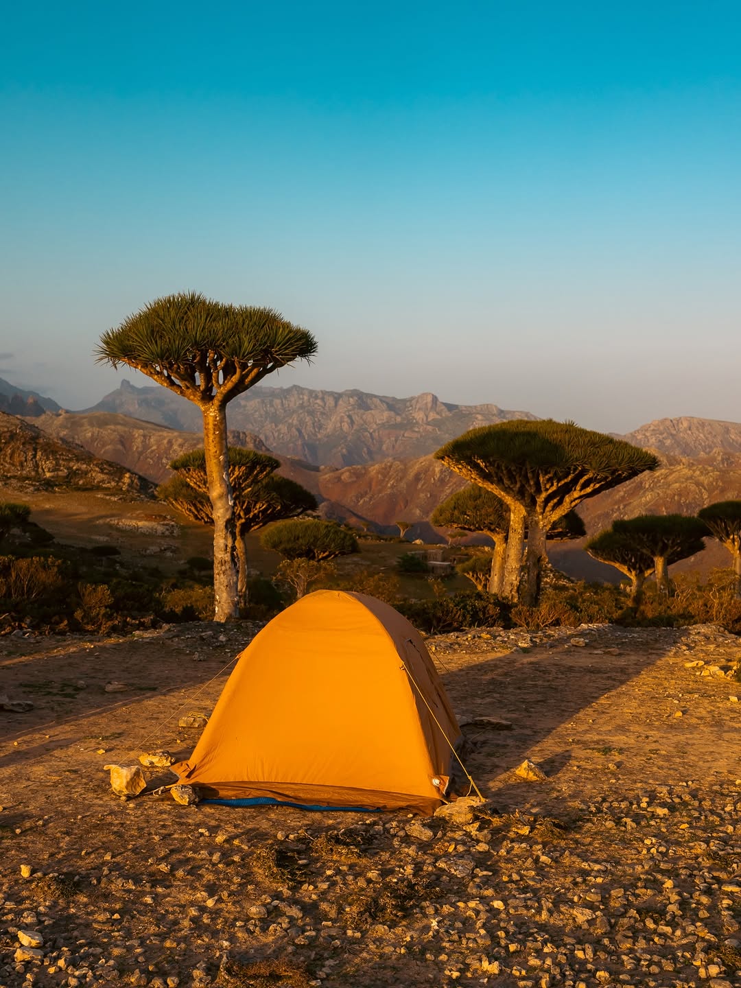 Thumbnail of www-instagram-com-p-drr9y-idzwg 3