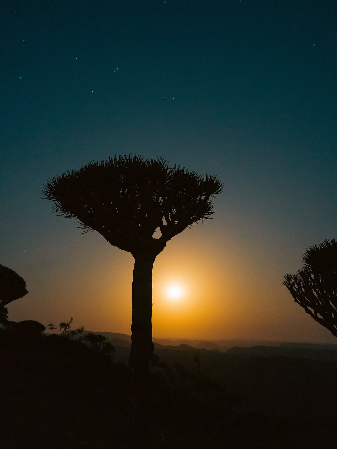 Thumbnail of www-instagram-com-p-drr9y-idzwg 4