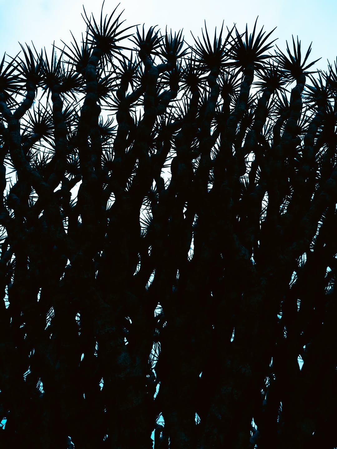 Thumbnail of www-instagram-com-p-drr9y-idzwg 8