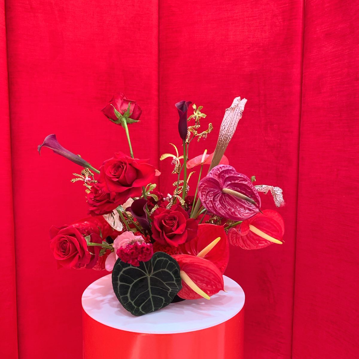 Thumbnail of b1huvmoj-z0-c62e893a958b4944 3