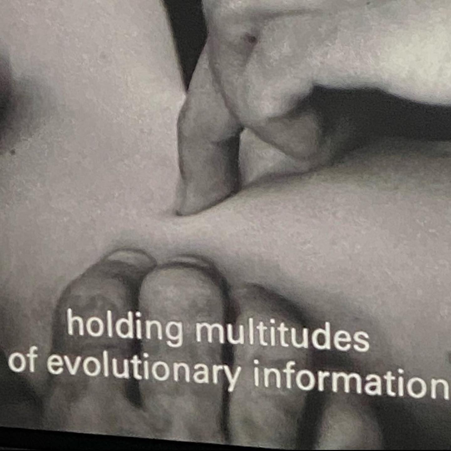 Thumbnail of p-chqtfuzhoxg-c6fbcfe0afa54615 3