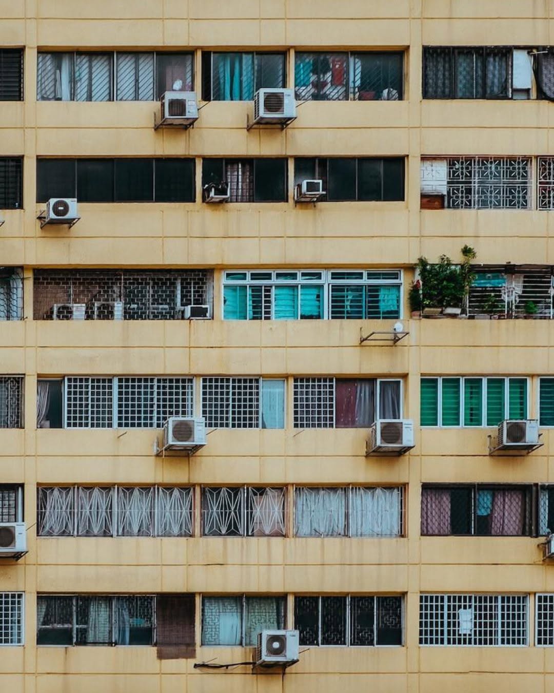 Thumbnail of www-instagram-com-p-dtkpkffjayo-img-index-1 1