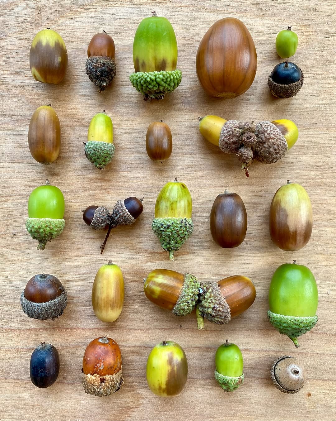 Thumbnail of www-instagram-com-p-dqcdmv8ihqx 0