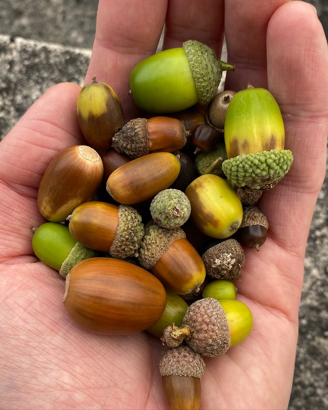 Thumbnail of www-instagram-com-p-dqcdmv8ihqx 1