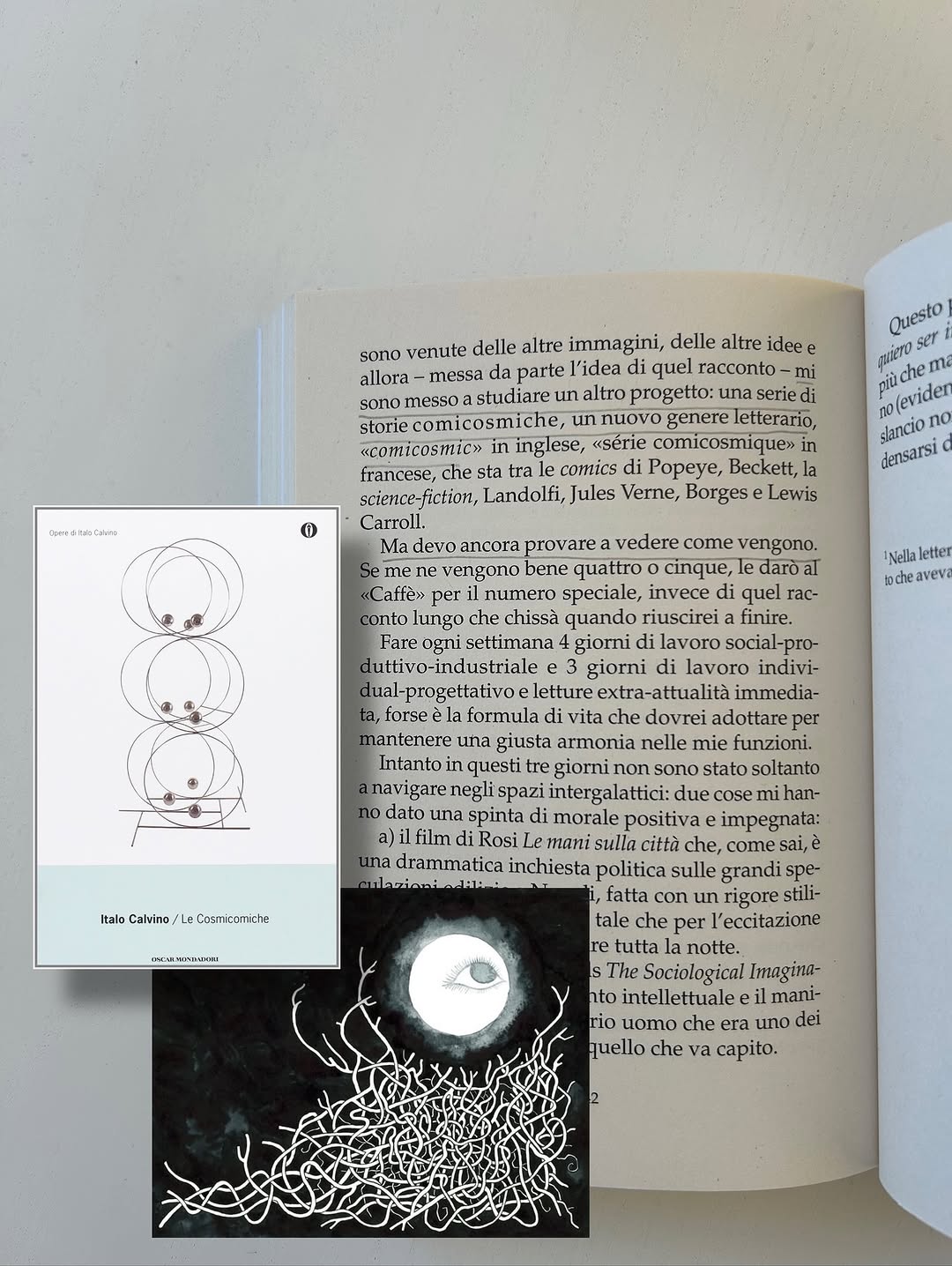 Thumbnail of www-instagram-com-p-dqq7uzwdmgk 10