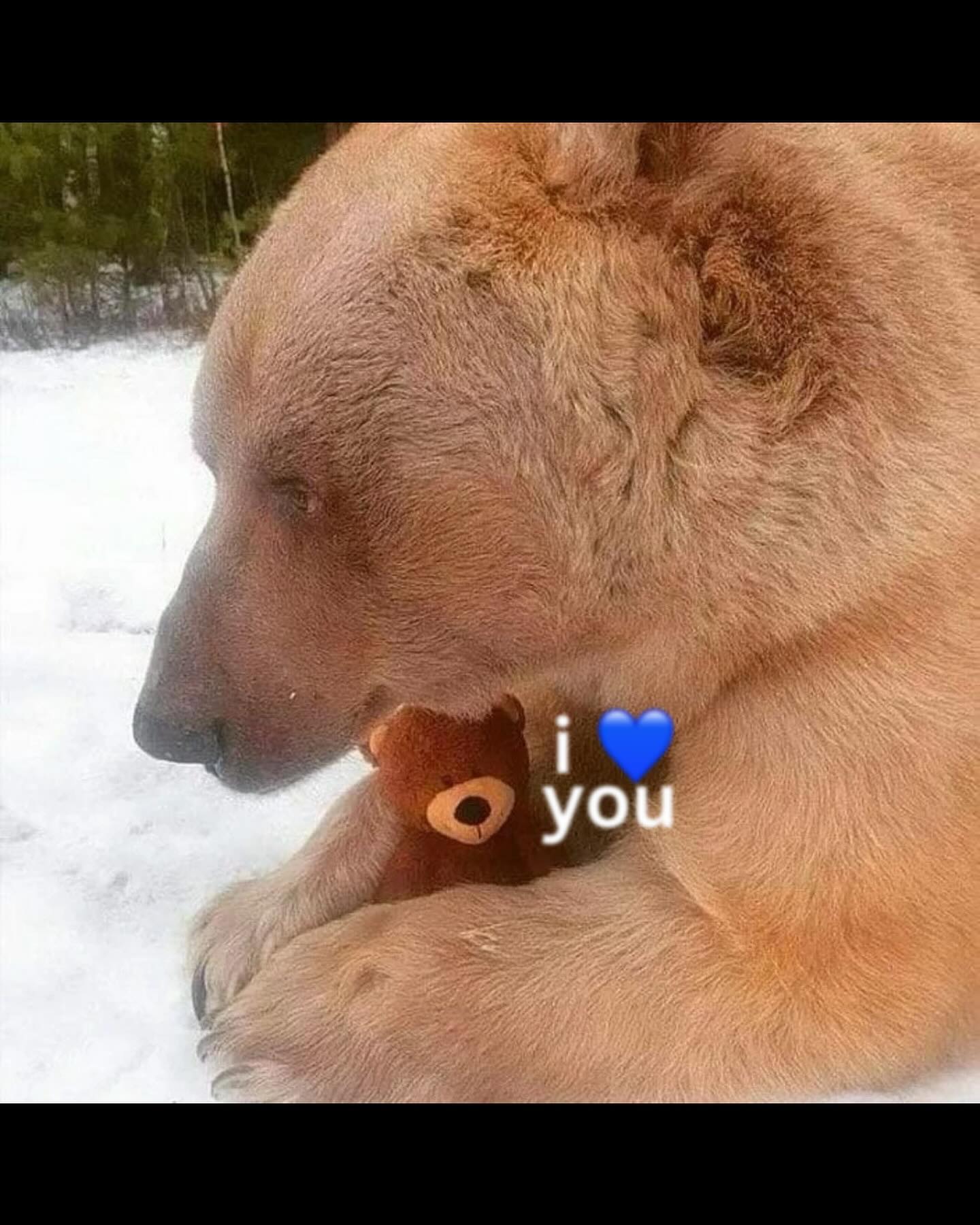 Thumbnail of c-0hl9vp5hy-c8ce5876c49c4451 9